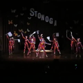 Stonoga 2011 Impus Kids