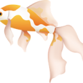 rybka_male