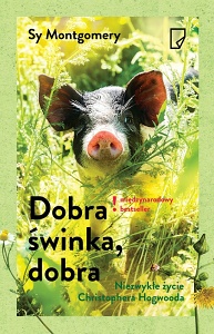 dobra swinka