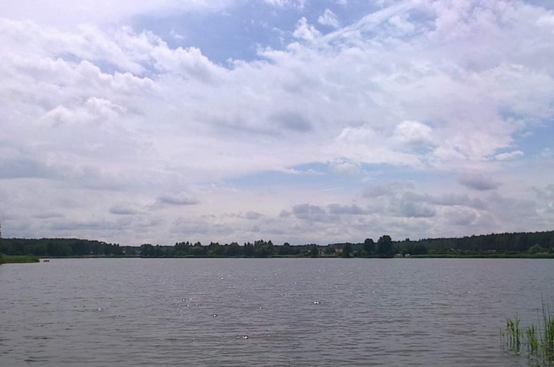 Widok na jezioro, w oddali drzewa na horyzoncie