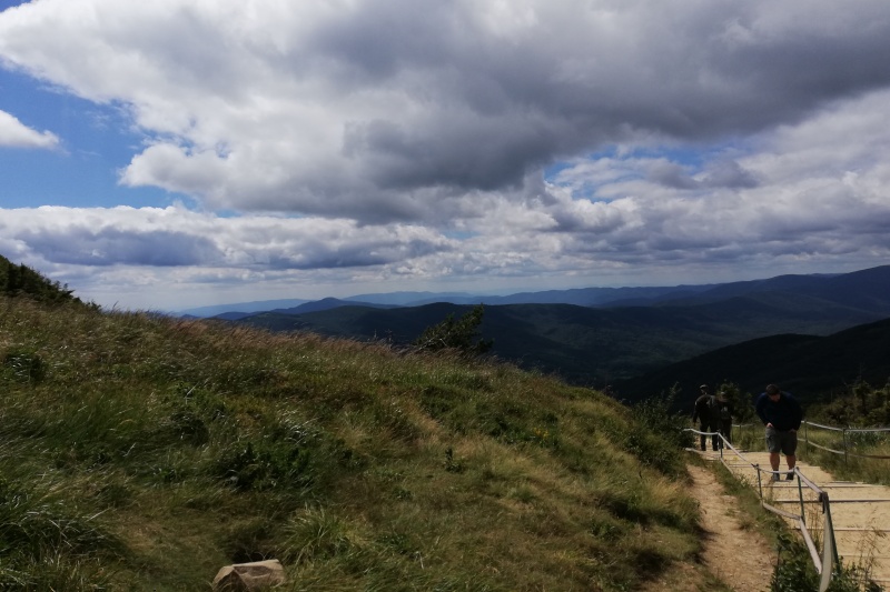 Widok szlaku na Tarnicę. Turyści na ścieżce, w oddali góry, pochmurne niebo