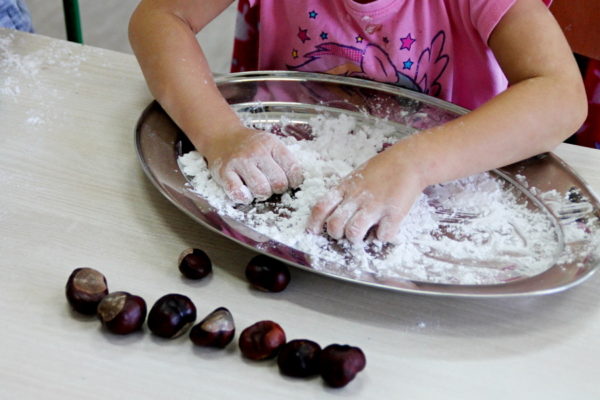 Na pierwszym planie leżące na stole kasztany i ręce dziewczynki, która ugniata wodę z mąką
