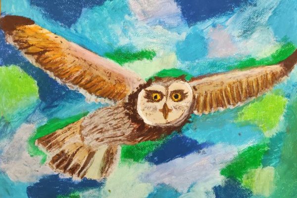 praca plastyczna przedstawiająca lecącą sowę