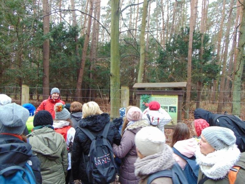 – dzieci przed tablicą informacyjną „Rezerwat Zdroje”, las, cisy