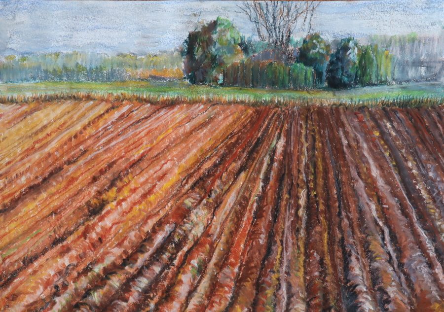 Praca plastyczna, konkursowa