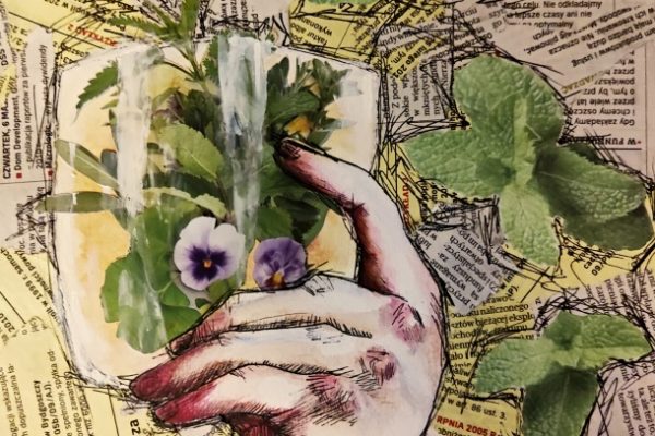 praca platyczna konkursowa