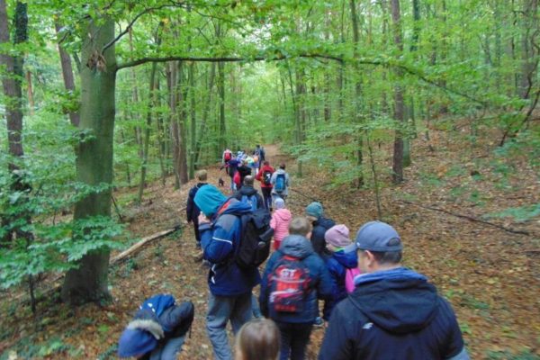 droga w lesie, wędrująca grupa młodzieży