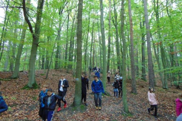 dzieci i młodzież schodzą ze wzgórza w lesie