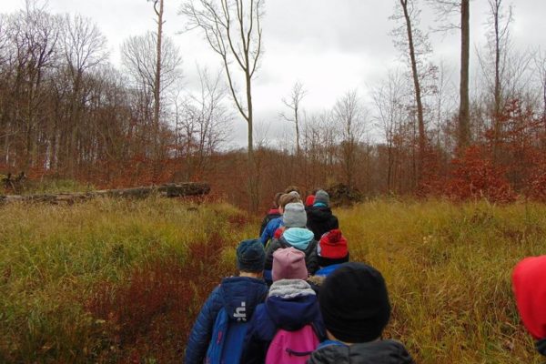 Polana, trawa, zwalone drzewo, w tle las, grupa uczniów wędruje wąską ścieżką