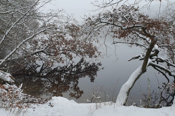 zimowy pejzaż nad jeziorem