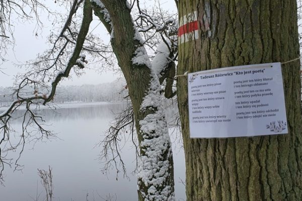 tafla jeziora i wierszy przyczepiony do drzewa