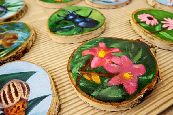 plastry drewna z namalowanymi roślinami i owadami