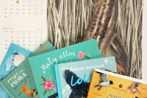 nagrody książkowe zdobyte w konkursie plastycznym