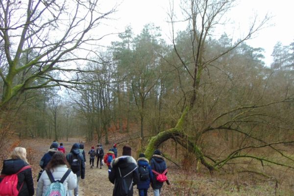 grupa uczestników rajdu w lesie