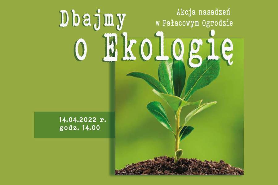 plakat z grafiką w kolorach zielonych z sadzonką