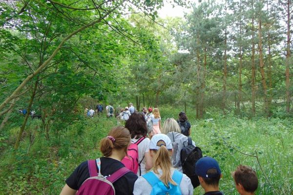 las, leśna polana, grupa dzieci wędruje