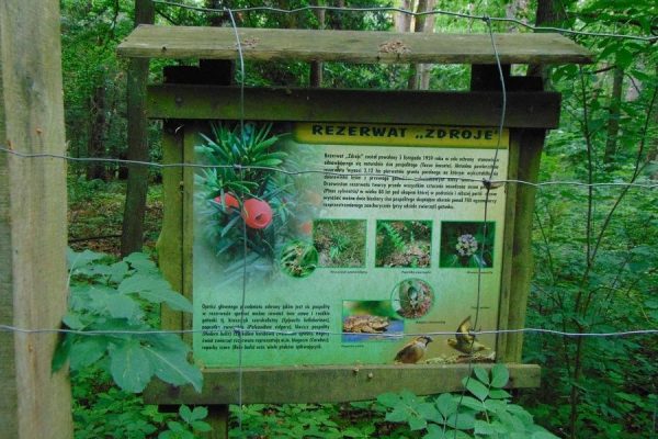 – tablica informacyjna o rezerwacie Zdroje
