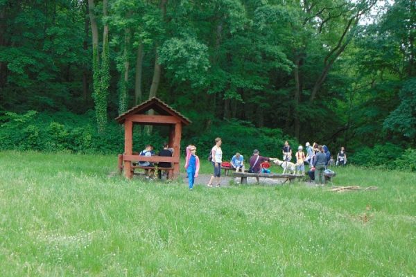 polana Widok, grupa uczniów wchodzi na polanę