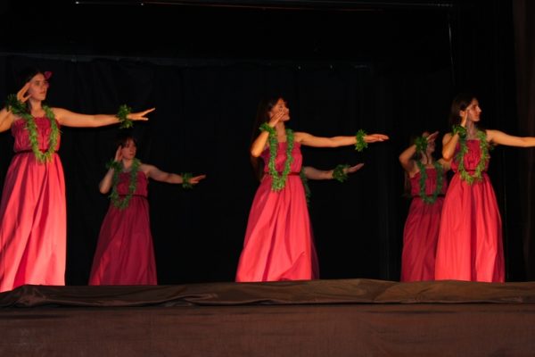 dziewczęta w strojach hawajskich w pozie tanecznej