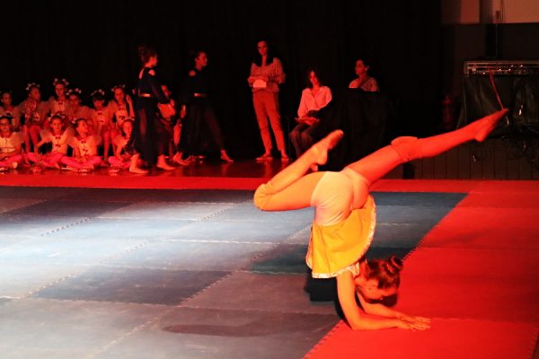 tancerka w pozie tanecznej