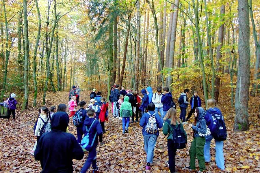 grupa uczniów na leśnym szlaku