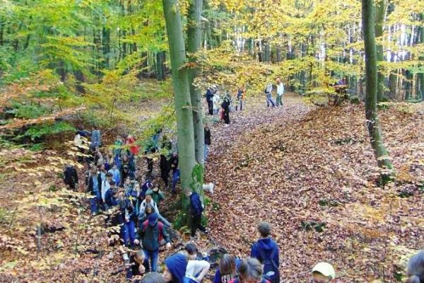 grupa uczniów na leśnym szlaku