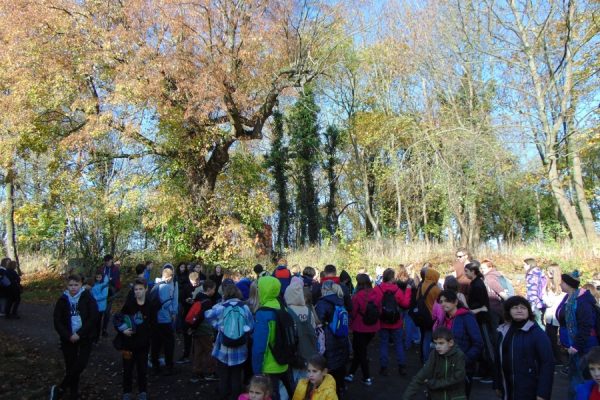 ogrodzenie ogrodu, drewniana rzeźba, pies za płotem