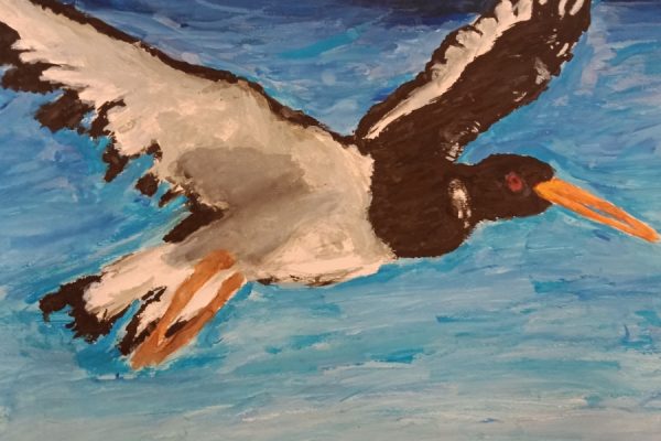 praca plastyczna przedstawiająca ostrygojada