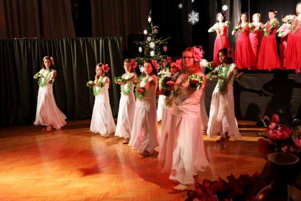 grupa tancerek w strojach hawajskich