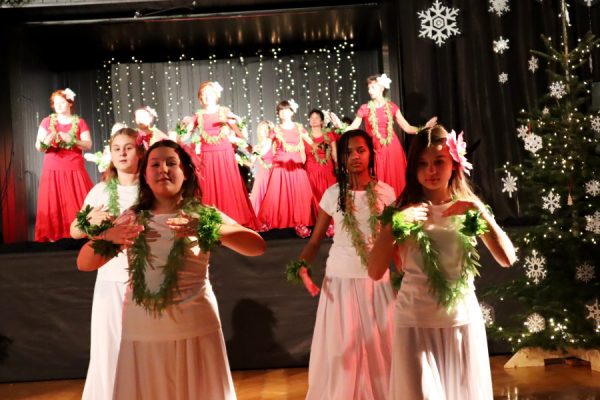 grupa tancerek w strojach hawajskich