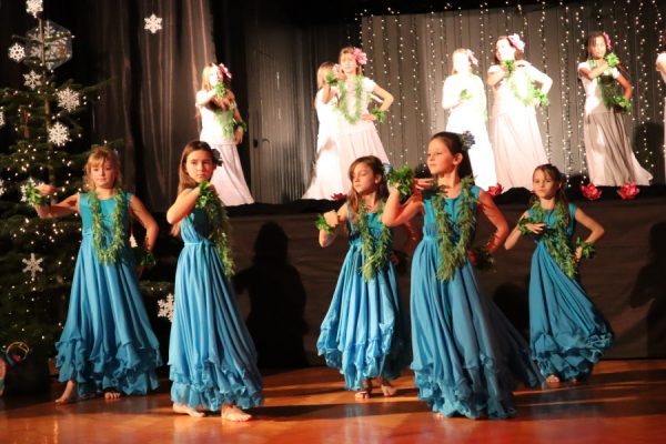 grupa tancerek w strojach hawajskich