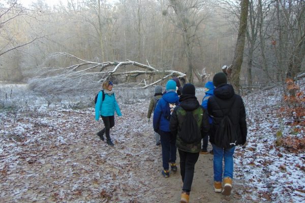 las, młodzież, w tle zwalone przez wichurę oszronione drzewo