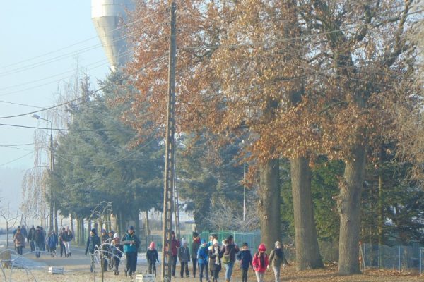 droga we wsi, drzewa, wędrująca grupa młodzieży