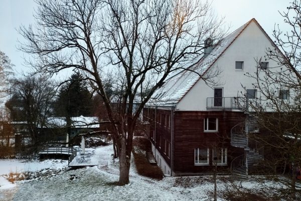 ośnieżony budynek i ogród