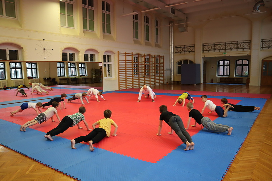 grupa dzieci w trakcie zajęć karate