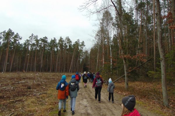 piaszczysta droga, grupa dzieci, po bokach przewalone drzewa