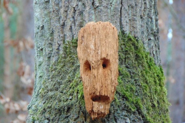 drzewo, kora porośnięta mchem, do drzewa przybita wyrzeźbiona maska