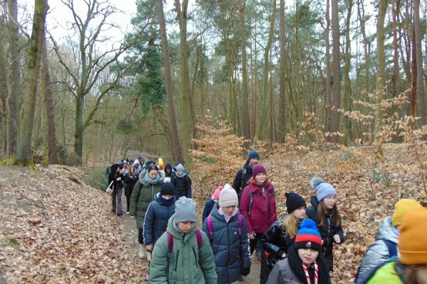 wędrująca przez las grupa turystów