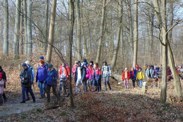 las, drogą idzie grupa młodzieży