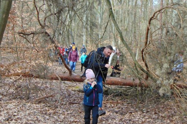 droga leśna, zwalone drzewo pokonują turyści