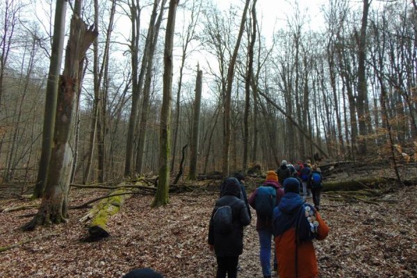 wejście na Wzgórze Trygława