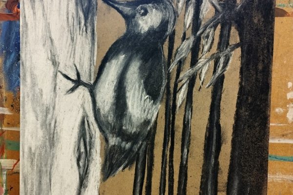 praca plastyczna przedstawiająca dzięcioła
