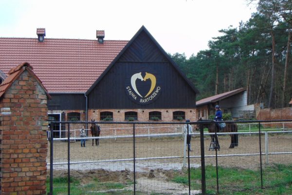 stajnia, na wybiegu dwa konie