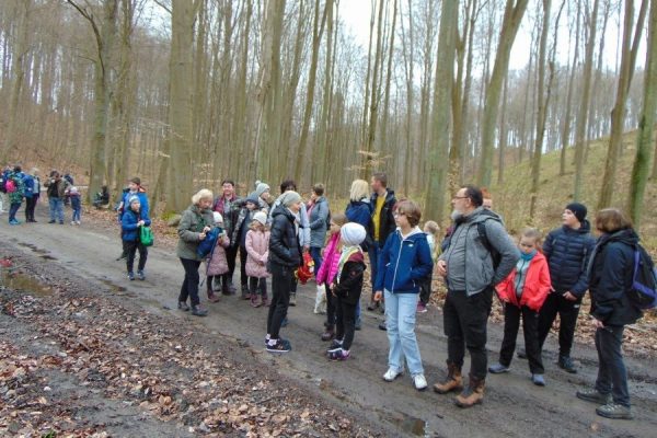 – las, grupa młodzieży na drodze leśnej