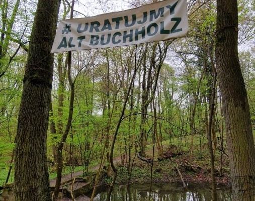 las, baner rozwieszony wśród drzew: „Uratujmy Alt Buchholz
