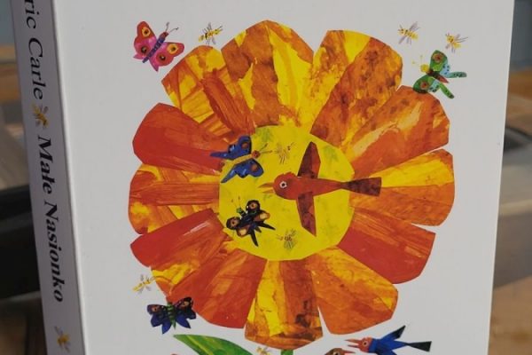 książka pt. "Małe nasionko"