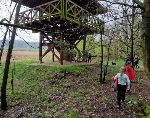 las, uczniowie przy wieży widokowej