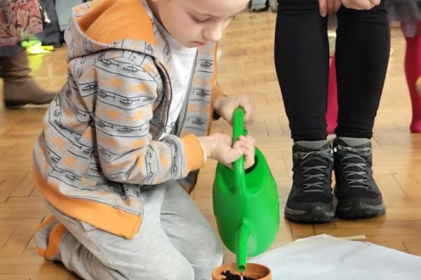 chłopiec podlewa roslinkę w doniczce