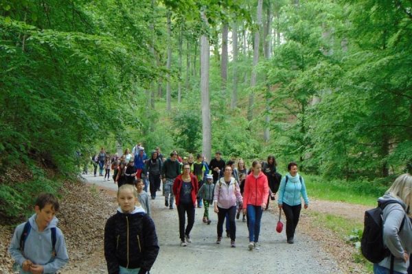 las, droga leśna, grupa młodzieży