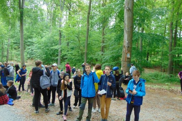 przed drzewem z kapliczką, w tle las